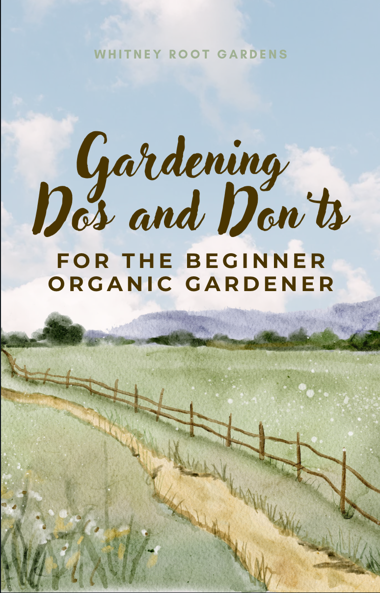 Gardening Dos and Don'ts