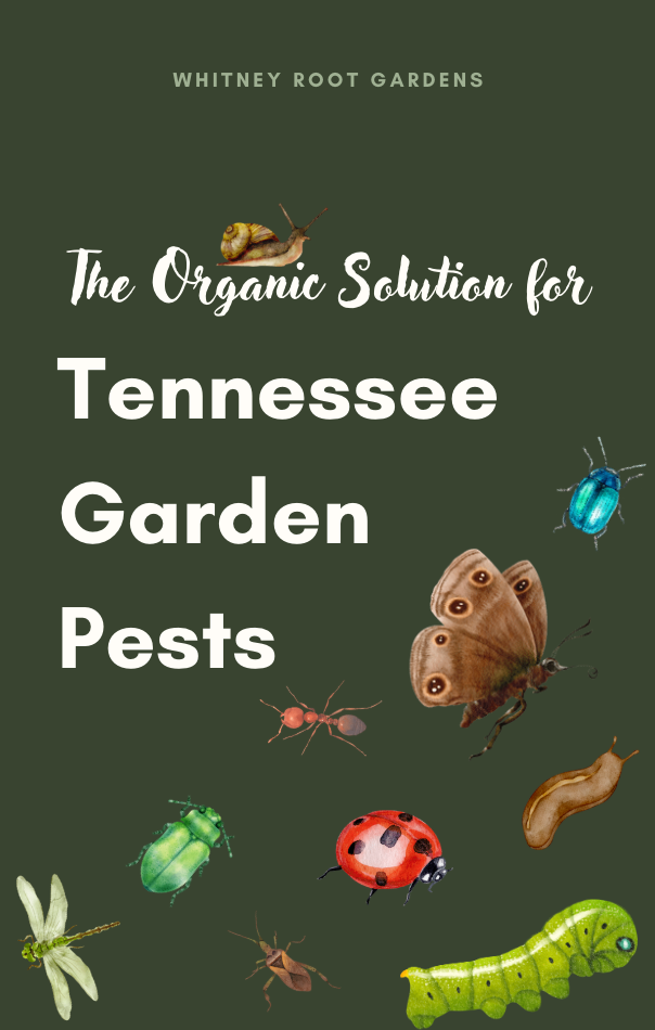 The Organic Solution for Tennessee Garden Pests