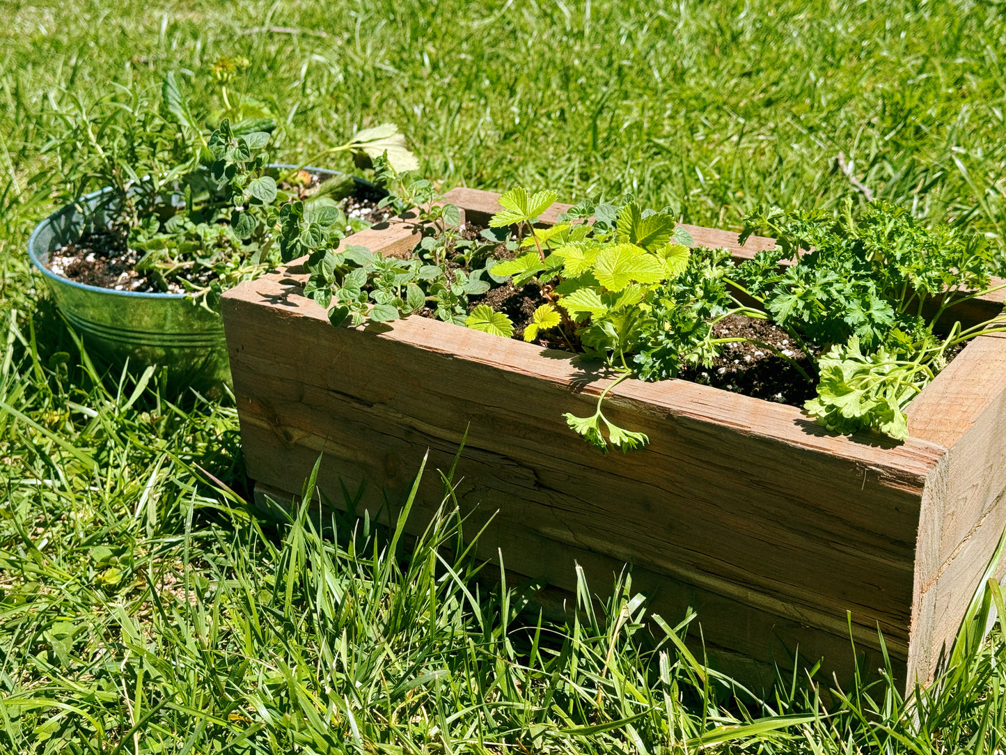 Custom Herb Planter